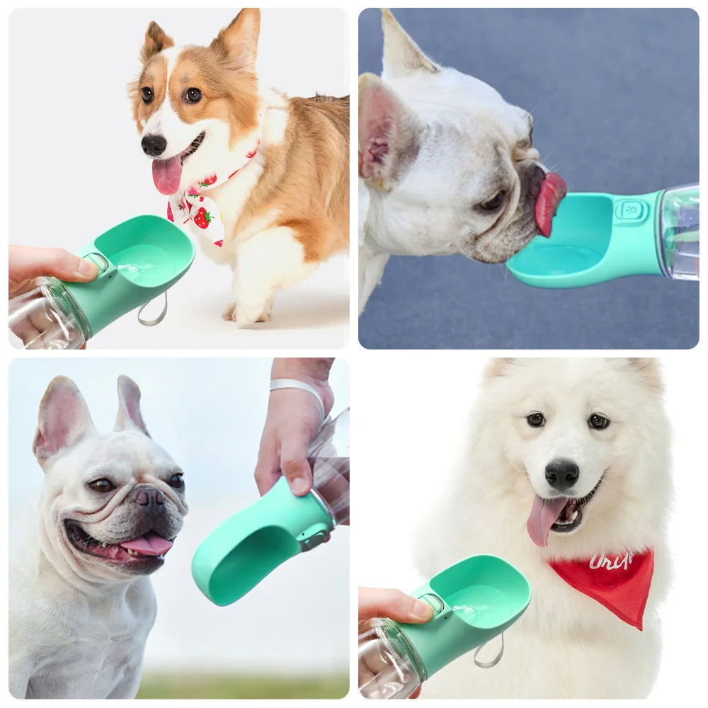 Patisu™ Taşınabilir Köpek Matarası